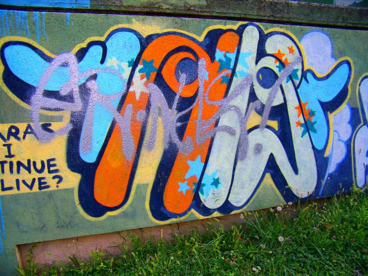 Graffiti Murals Street Art 1195 3833429954 6b577e9cbc o A4 Photo Print