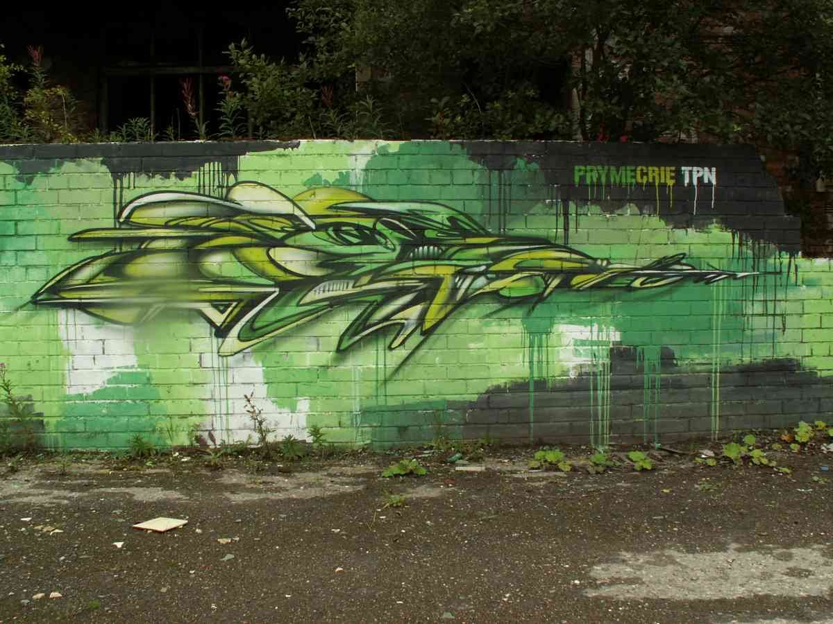 Graffiti Murals Street Art 1201 3871018998 06ef5bbdb5 o A4 Photo Print