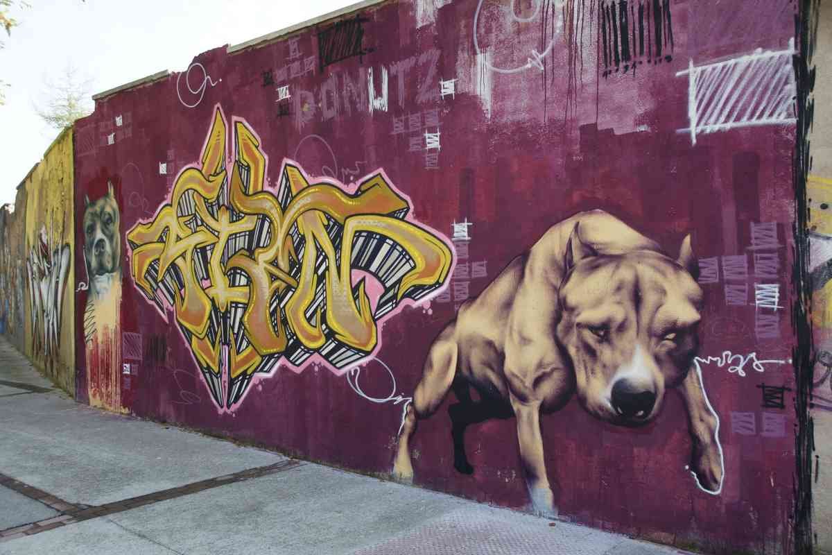 Graffiti Murals Street Art 1209 4029342783 1139a2f1a7 o A4 Photo Print