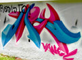 Graffiti Murals Street Art 1213 3936113226 c283143b87 o A4 Photo Print