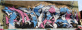 Graffiti Murals Street Art 122 fpx051007 03 A4 Photo Print