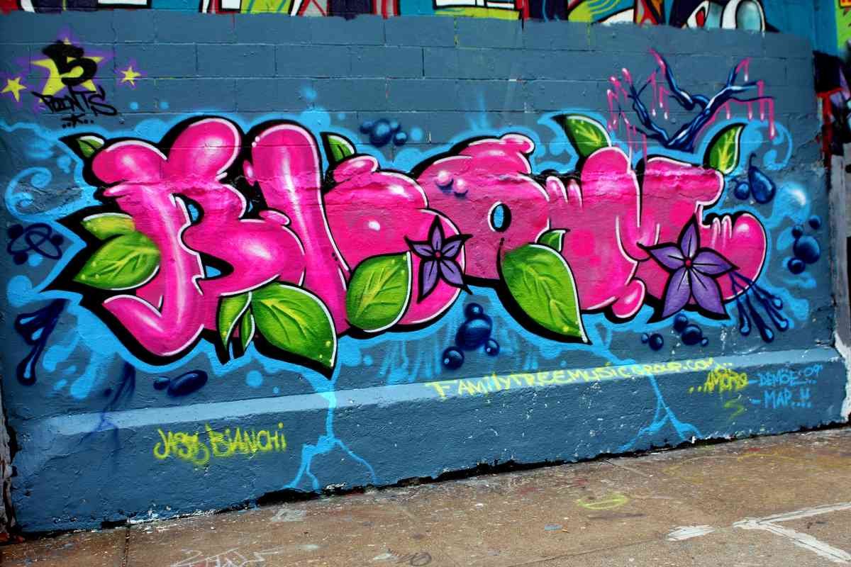 Graffiti Murals Street Art 1235 4034040288 41a9b1d843 o A4 Photo Print