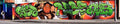 Graffiti Murals Street Art 1241 3273266376 4a1df05126 o A4 Photo Print