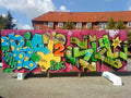 Graffiti Murals Street Art 128 dsc005991 A4 Photo Print