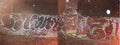 Graffiti Murals Street Art 1344 19864635 A4 Photo Print