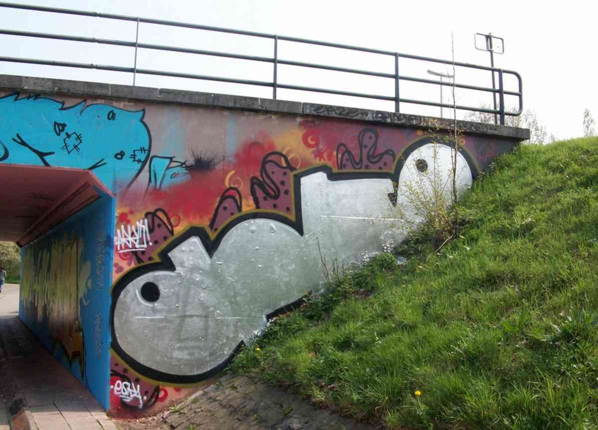 Graffiti Murals Street Art 1464 3507571979 8cf25f03bc b A4 Photo Print