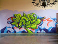 Graffiti Murals Street Art 151 graffiti regenerative kaso senso tdk 723345 A4 Photo Print
