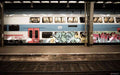 Graffiti Murals Street Art 167 1009 A4 Photo Print