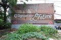 Graffiti Murals Street Art 179 ll co sign A4 Photo Print