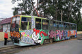 Graffiti Murals Street Art 227 1005 A4 Photo Print