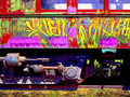 Graffiti Murals Street Art 230 Graffiti Train 53x40 sm A4 Photo Print