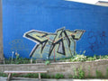 Graffiti Murals Street Art 238 14244254 A4 Photo Print
