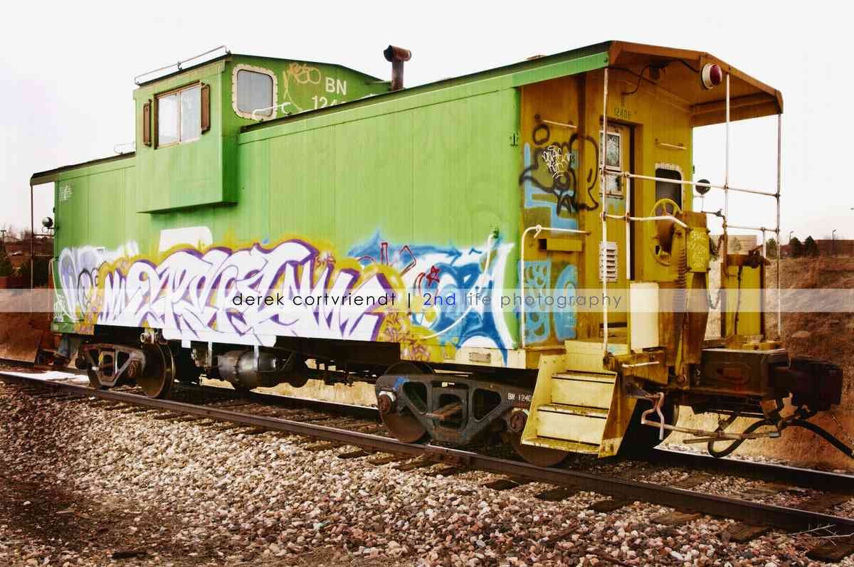 Graffiti Murals Street Art 238 train 02 2008 A4 Photo Print