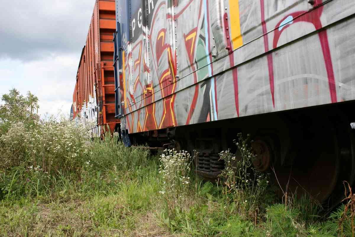 Graffiti Murals Street Art 263 copy of boxcar graffiti A4 Photo Print