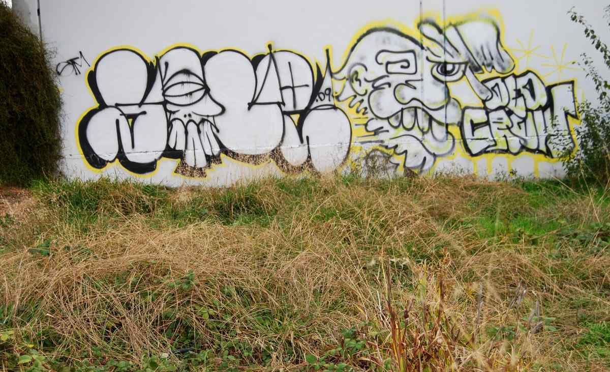 Graffiti Murals Street Art 279 4138177771 756dbf3183 o A4 Photo Print