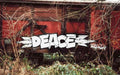 Graffiti Murals Street Art 298 1291 A4 Photo Print