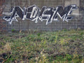 Graffiti Murals Street Art 301 4137419256 3f7555a0af o A4 Photo Print