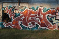 Graffiti Murals Street Art 335 4186988378 6946bc1a81 o A4 Photo Print