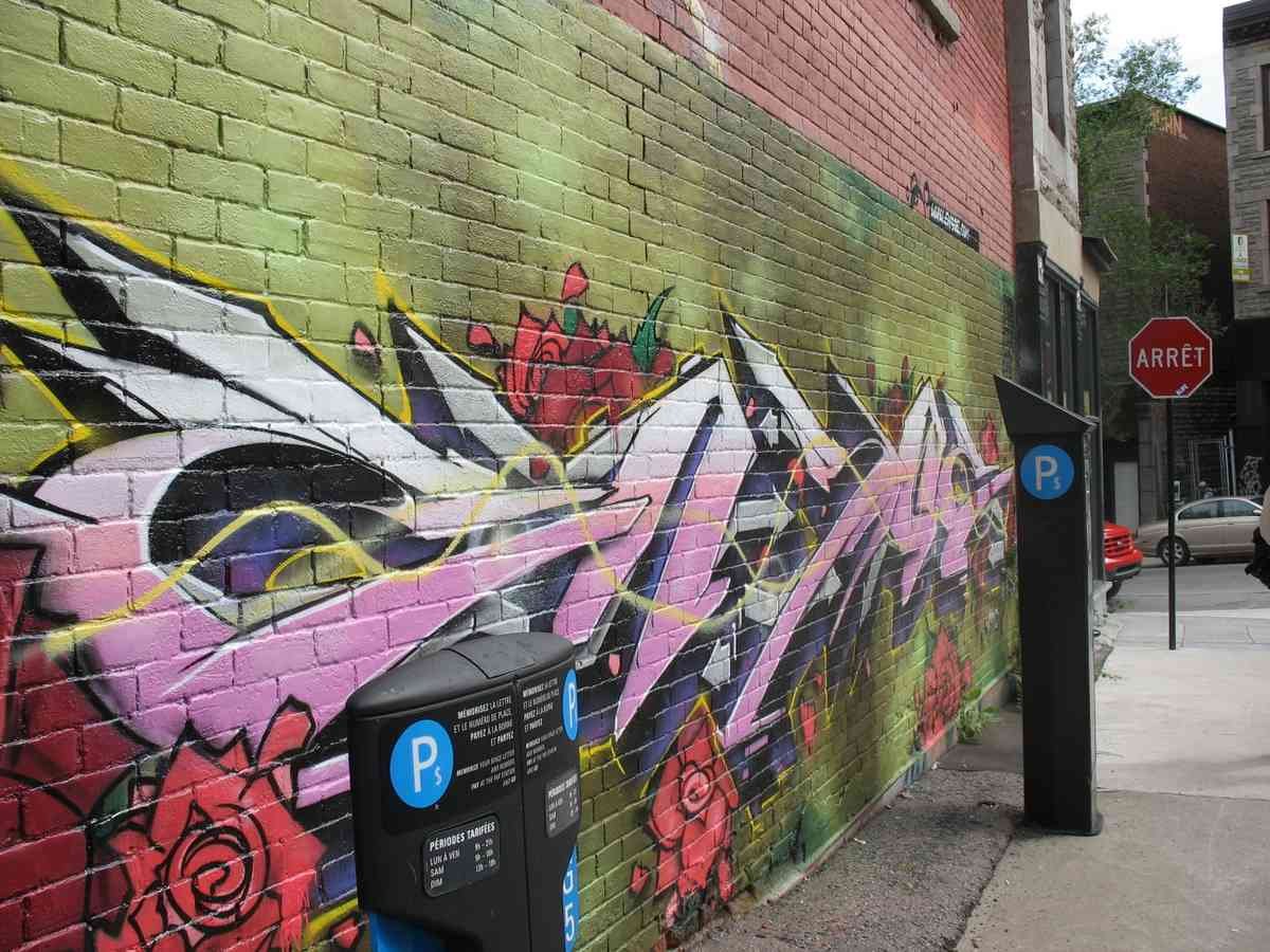 Graffiti Murals Street Art 350 img 14551 A4 Photo Print