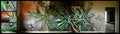 Graffiti Murals Street Art 377 4140264381 ee86e6db3e o A4 Photo Print