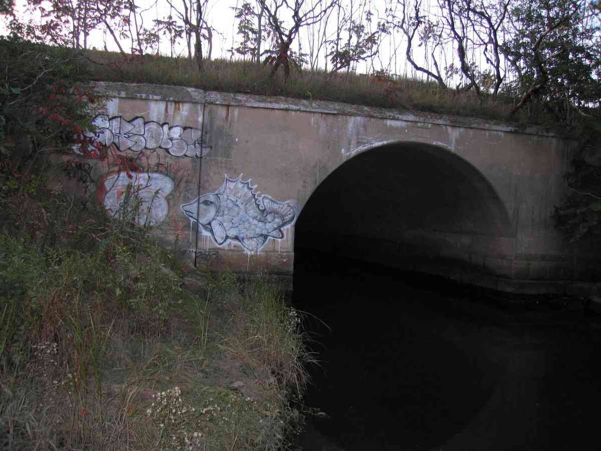 Graffiti Murals Street Art 409 23929155 A4 Photo Print