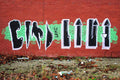 Graffiti Murals Street Art 459 4178067525 c12834444d o A4 Photo Print