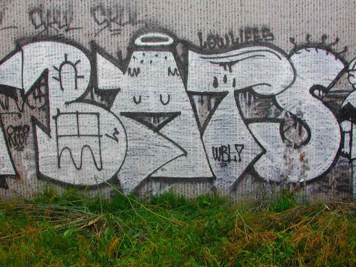 Graffiti Murals Street Art 480 4178458728 07687e04c9 o A4 Photo Print