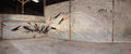 Graffiti Murals Street Art 489 4128782532 042fc9db8c b A4 Photo Print