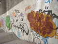 Graffiti Murals Street Art 558 cimg9447 A4 Photo Print