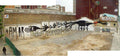 Graffiti Murals Street Art 571 grafitti panorama1 A4 Photo Print