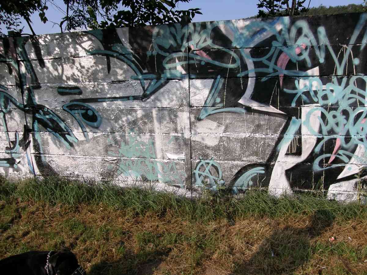 Graffiti Murals Street Art 663 graffit c 4 A4 Photo Print