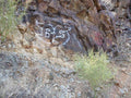 Graffiti Murals Street Art 682 WP6 A4 Photo Print