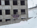 Graffiti Murals Street Art 713 SDC10113 A4 Photo Print
