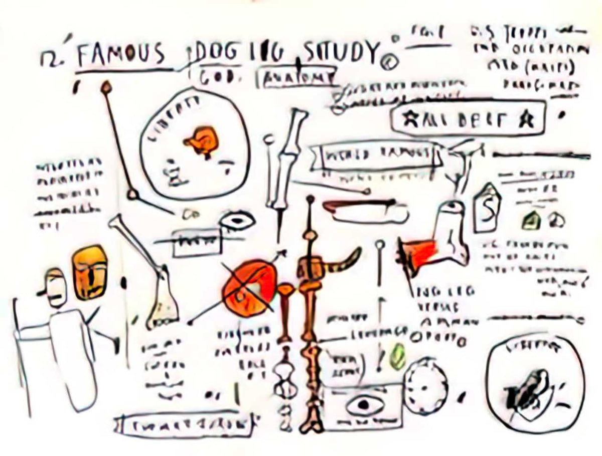 Graffiti Street Art dog leg study A4 Photo Print
