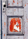 Graffiti Street Art door in need of fresh paint 1966 A4 Photo Print