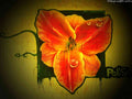 Graffiti Street Art photo Murals A4 053 (618) A4 Photo Print