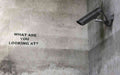 Graffiti Street Art photo Murals A4 125 (738) A4 Photo Print