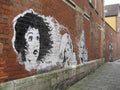 Graffiti Street Art photo Murals A4 218 (934) A4 Photo Print