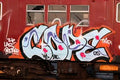 Graffiti Street Art the last redbird A4 Photo Print
