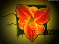 GraffitiUrban Street Art Tags Wall Spray 121 A4 Photo Print