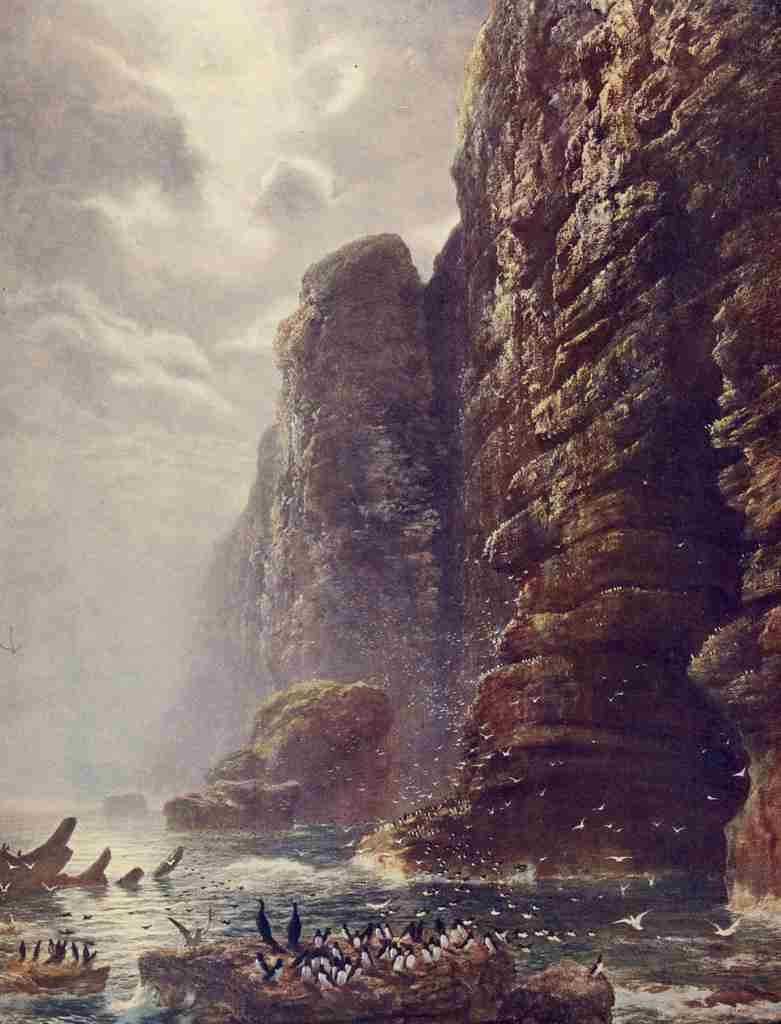 Graham P 1905 Cradle of the Sea Bird 1872 A4 Photo Print