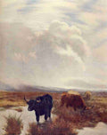 Graham P 1905 Highland Pasturage A4 Photo Print