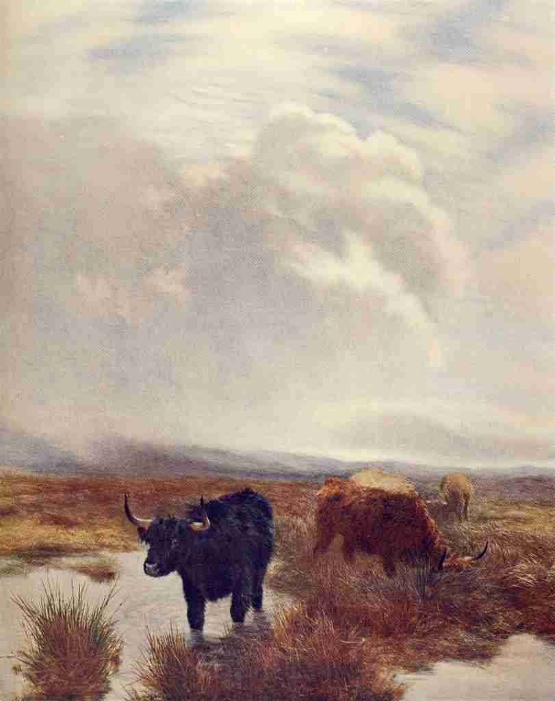 Graham P 1905 Highland Pasturage A4 Photo Print