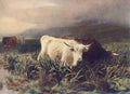Graham P 1905 Moorland Rovers 1876 A4 Photo Print