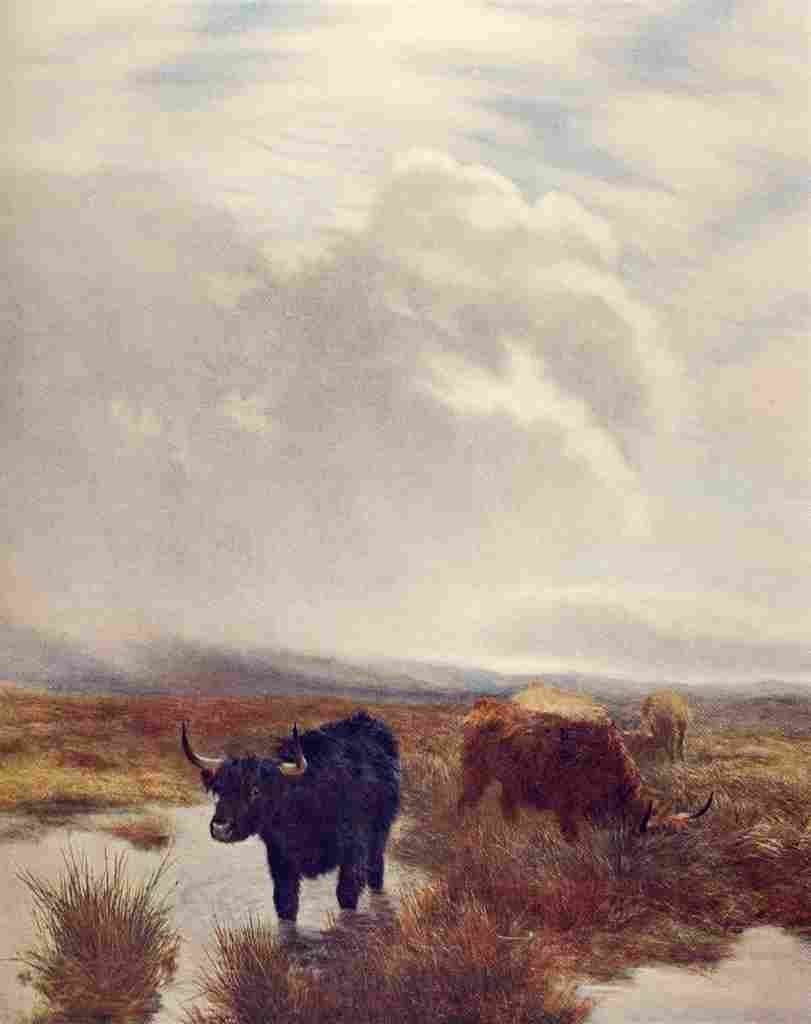 Graham Peter 1836 1921 Highland Pasturage A4 Photo Print