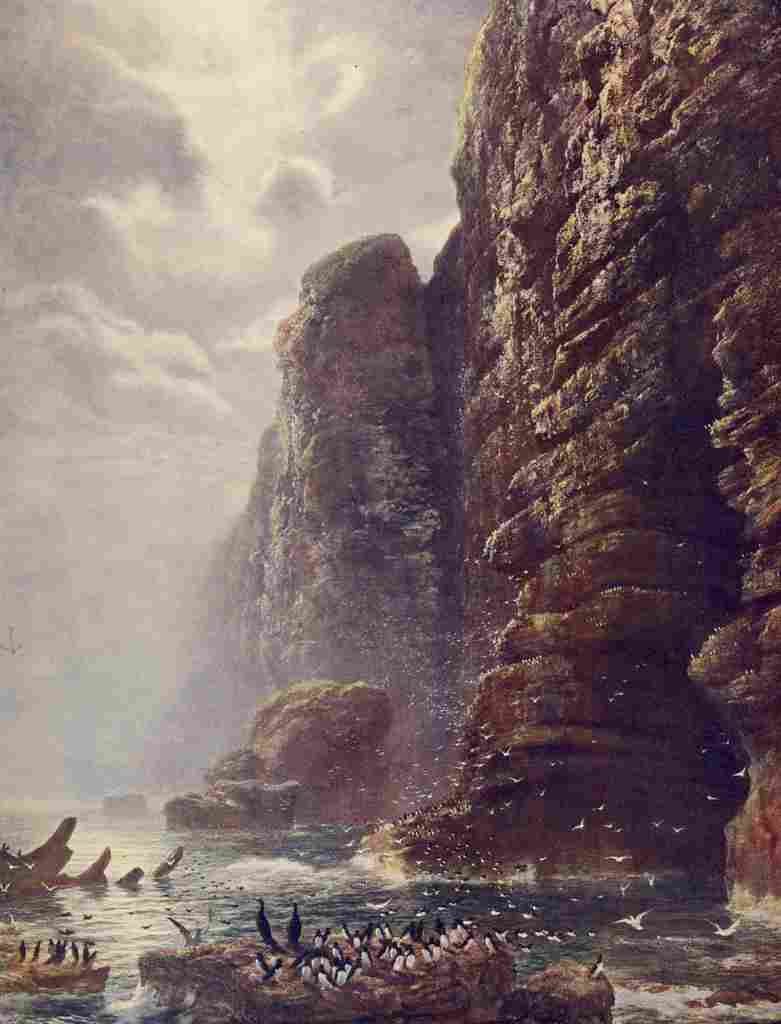 Graham Peter 1836 1921 The Cradle Sea Bird 1872 A4 Photo Print