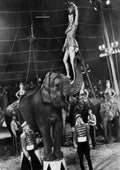 Grahame Gloria Greatest Show on Earth The 1 A4 Photo Print