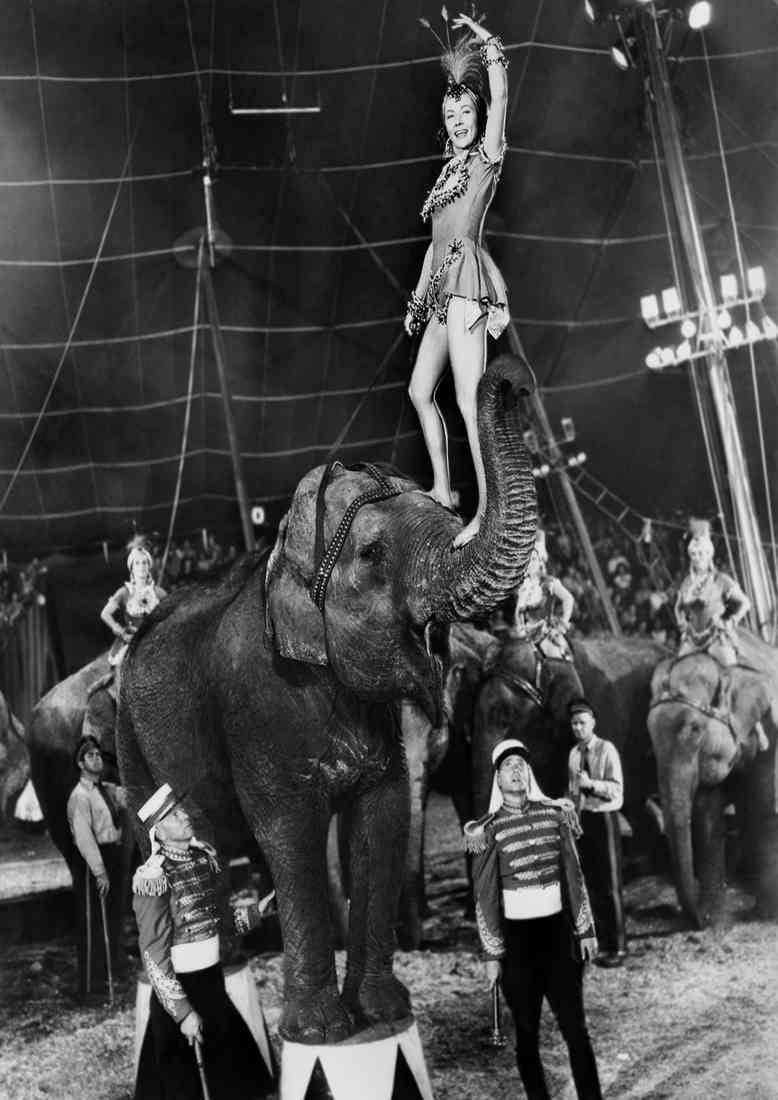 Grahame Gloria Greatest Show on Earth The 1 A4 Photo Print