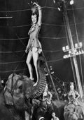 Grahame Gloria Greatest Show on Earth The 1 crop A4 Photo Print