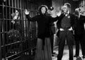 Grant Cary Bringing Up Baby 08 film star poster A4 Photo Print